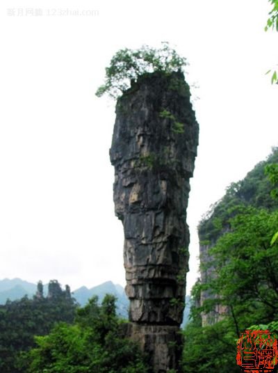 点击查看全图