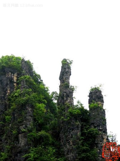 点击查看全图