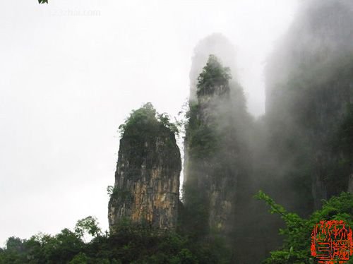 点击查看全图